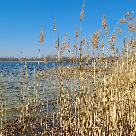度假居 Klimatyczny Dom, Ryn Mazury Lawki