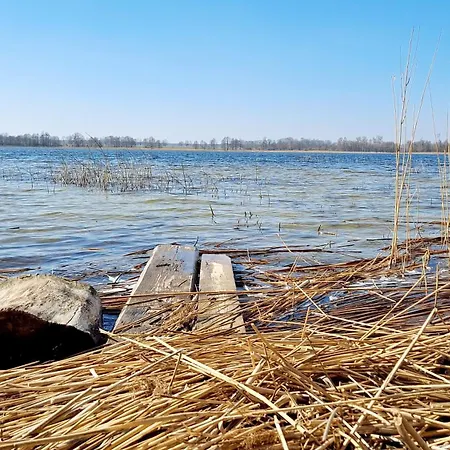 Klimatyczny Dom, Ryn Mazury * Lawki