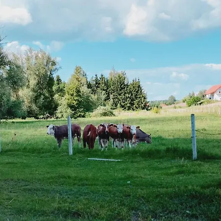 Klimatyczny Dom, Ryn Mazury *